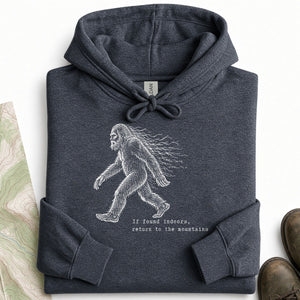 Return to the Mountains Hoodie