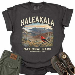 Haleakala National Park Comfort Colors T-Shirt