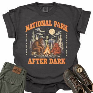 National Park After Dark Comfort Colors T-Shirt