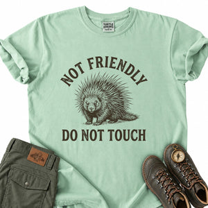 Not Friendly Do Not Touch T-Shirt