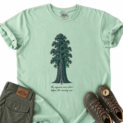 Mint Green